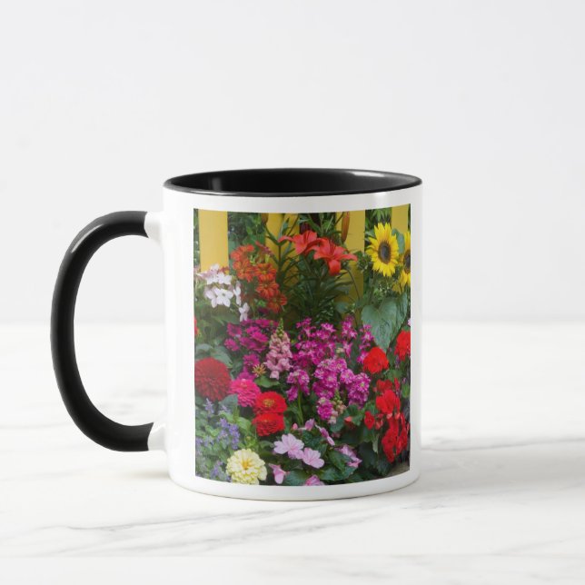 Taza Valla amarilla con jardín de flores en (Izquierda)