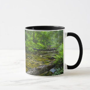 Taza Vapor en el bosque, montano Knysna-Amatole