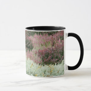 Taza Variedad de brezos