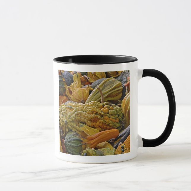 Taza Variedad de calabazas (Derecha)