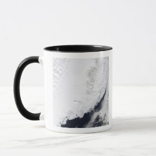 Taza Varios tipos de hielo marino