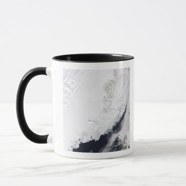 Taza Varios tipos de hielo marino (Izquierda)