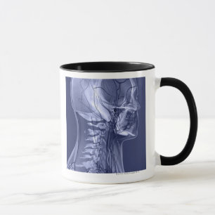 Taza Vasos sanguíneos de la cabeza y del cuello
