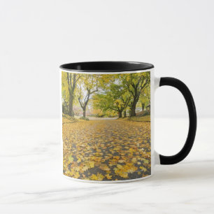 Taza Vecindad de Eastmoreland en otoño