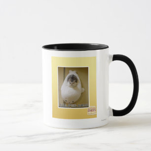 Taza Velocidad completa a continuación