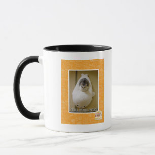 Taza Velocidad completa a continuación