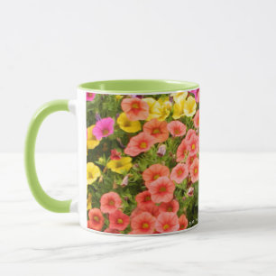 Taza Verano 2026