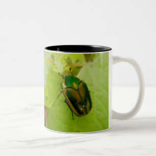 Taza verde del escarabajo de junio