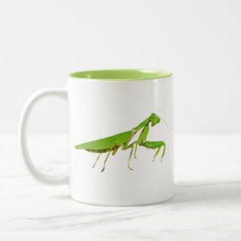 Taza verde gigante de la mantis religiosa