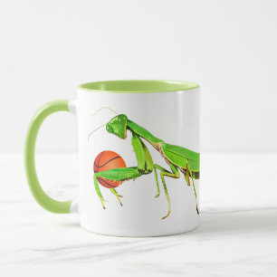 Taza verde gigante del baloncesto de la mantis