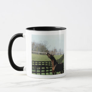 Taza Vermont, los E.E.U.U. 2