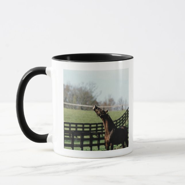 Taza Vermont, los E.E.U.U. 2 (Izquierda)