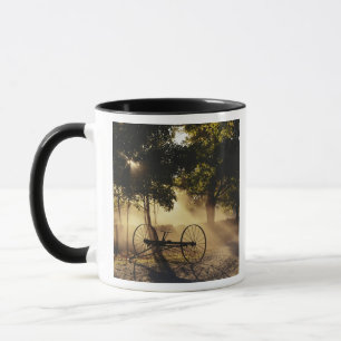 Taza Vermont, Northeast Kingdom, Luz del sol cayendo
