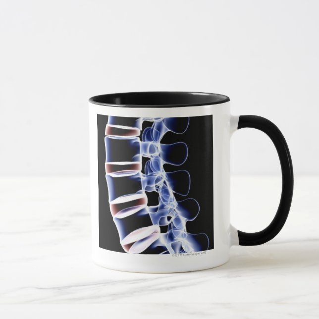 Taza Vértebras lumbares 2 (Derecha)