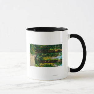 Taza Viajando en automóvili a través de bosque gigant