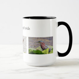 Taza Vida silvestre del condado de Pinella en Florida