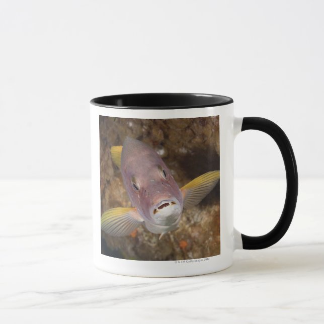Taza Vida subacuática; PESCADOS:  Ciérrese encima del (Derecha)