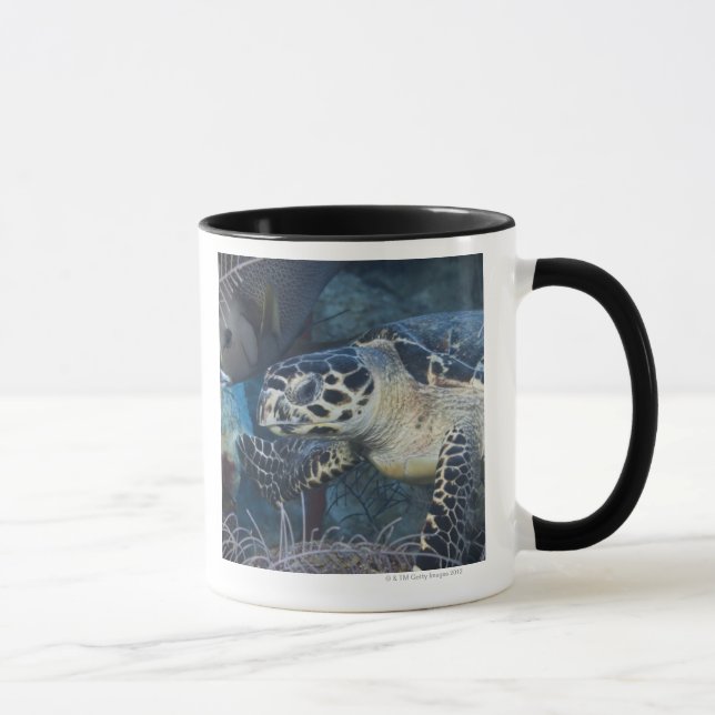 Taza Vida subacuática: Una tortuga de mar de Hawksbill (Derecha)