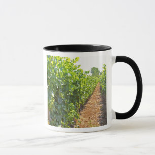 Taza Vides entrenadas en alto sobre cables sostenidos p