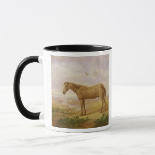 Taza Viejo Billy, un caballo de proyecto, envejecido 62