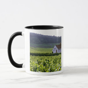Taza viñedo Chambertin Clos de Beze Grand Cru con