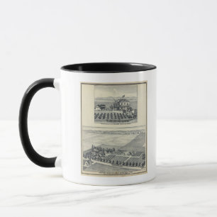 Taza Viñedo de la Fila de Garganta, Fresno