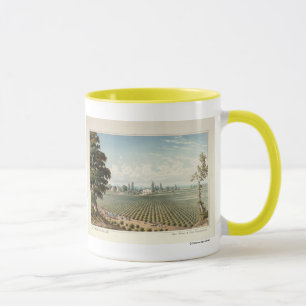 Taza Viñedo del EL Pinal, el condado de San Joaquin