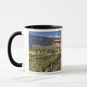 Taza Viñedo inactivo, flores de frutas, casa de piedra,
