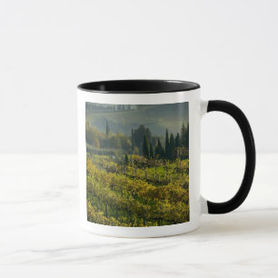 Taza Viñedo, Toscana, Italia