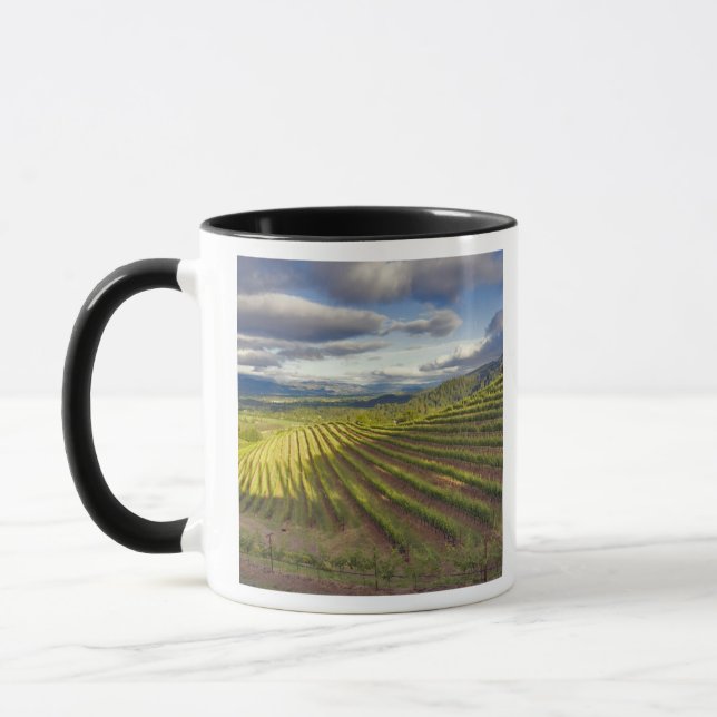 Taza Viñedo. Valle de Napa. Napa. Condado de Napa (Izquierda)