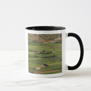 Taza viñedos Smokvica en Korcula desde Toreta