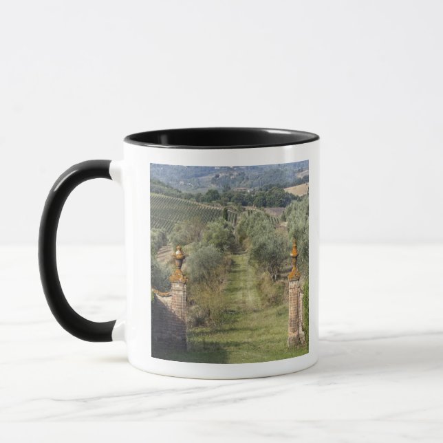 Taza Viñedos, Toscana, Italia (Izquierda)