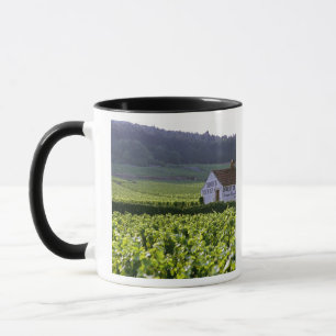 Taza Vinos Chambertin Clos de Beze Grand Cruz con