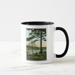 Taza Visión escénica en el depósito de Chestnut Hill