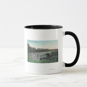 Taza Vista aérea de la cala BridgeWinters, CA de Putah
