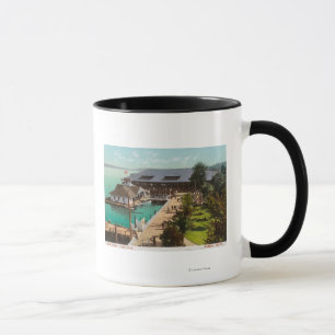 Taza Vista aérea de la casa barco, lago, parque de