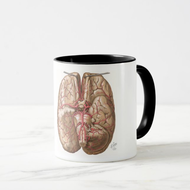 Taza Vista Basal Netter del Cerebro - Mug (Anverso derecho)