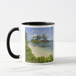 Taza Vista costera en la isla de Mahe