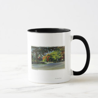 Taza Vista de entrada a la casa de FDR