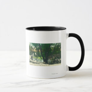 Taza Vista de la charca de las aguas termales