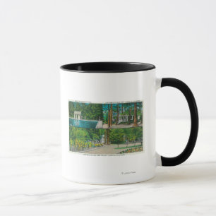 Taza Vista de la opinión ResortCastella, CA del risco