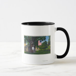 Taza Vista de la plantación maderera histórica de la