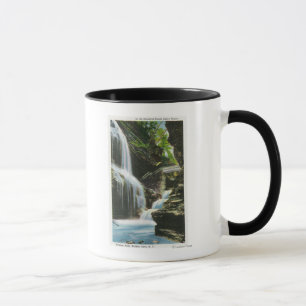 Taza Vista de las caídas del arco iris
