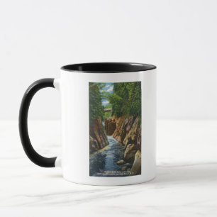 Taza Vista de las caídas y del puente del río de