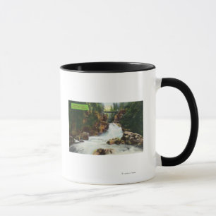 Taza Vista de las cataratas del cañón de Lynn