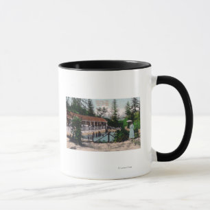 Taza Vista de las primaveras de PoolAdams que nadan, CA