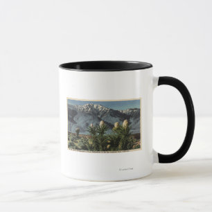 Taza Vista de Mt. San Jacinto, yuca Mohavensis