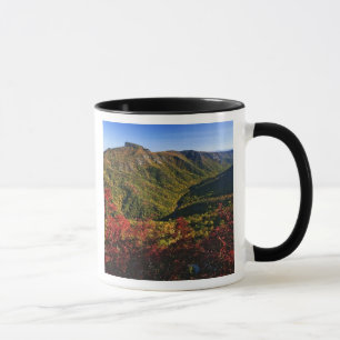 Taza Vista de otoño del desfiladero de Linville a menud