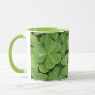 Taza Vista de Oxalis Oregana follaje de trébol de mader