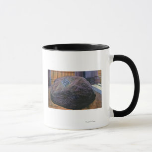 Taza Vista de Plymouth Rock real